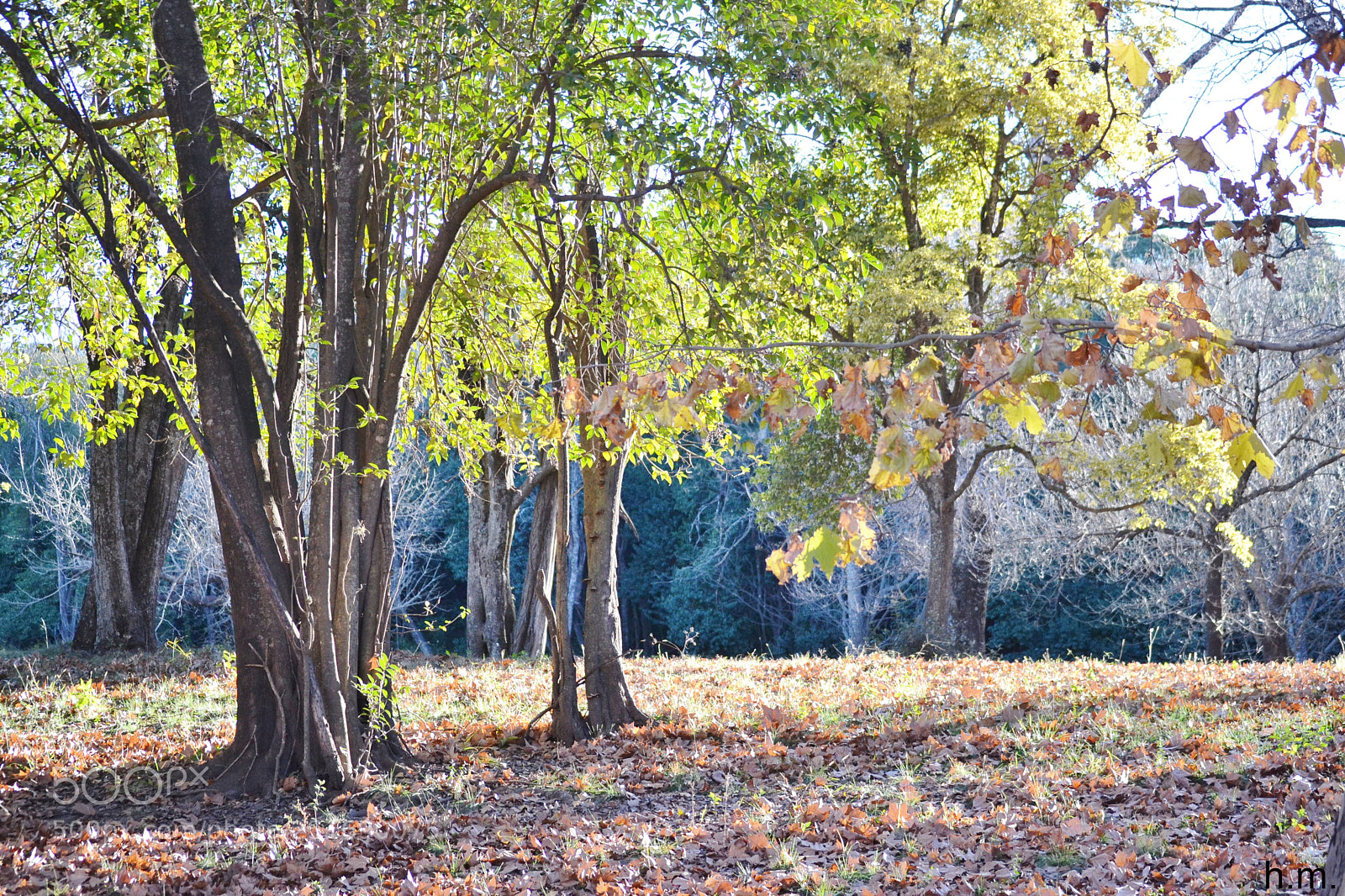 Nikon D3100 sample photo. O photography