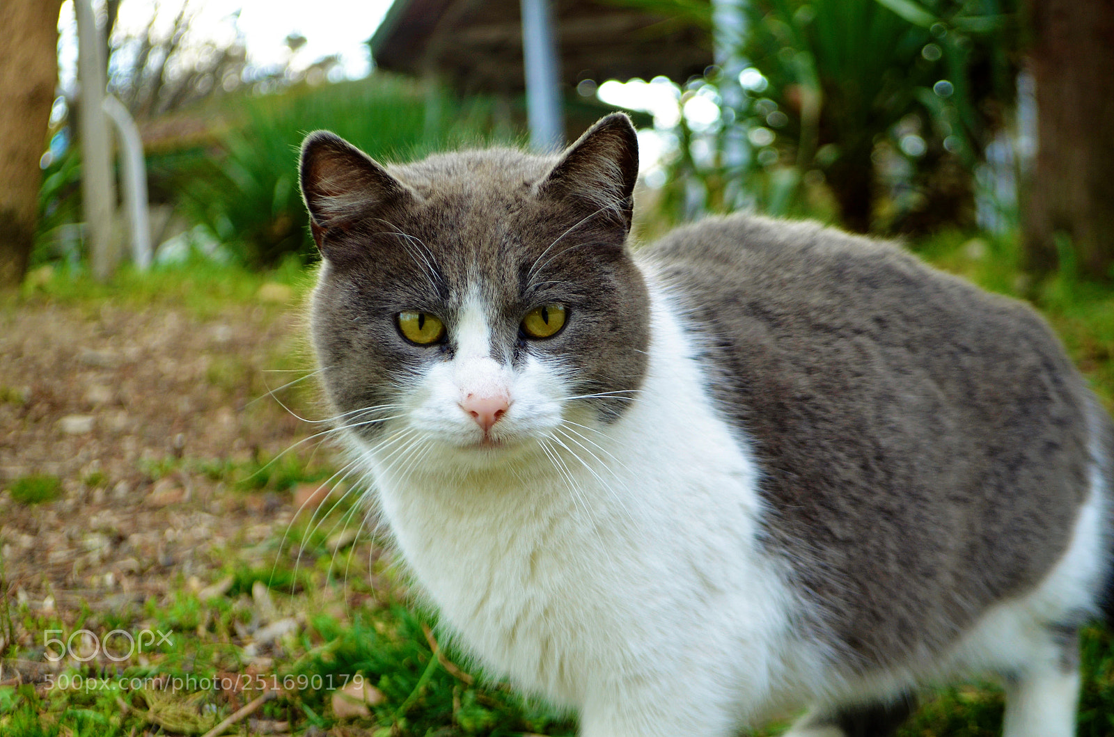 Nikon D5100 sample photo. Look at you photography