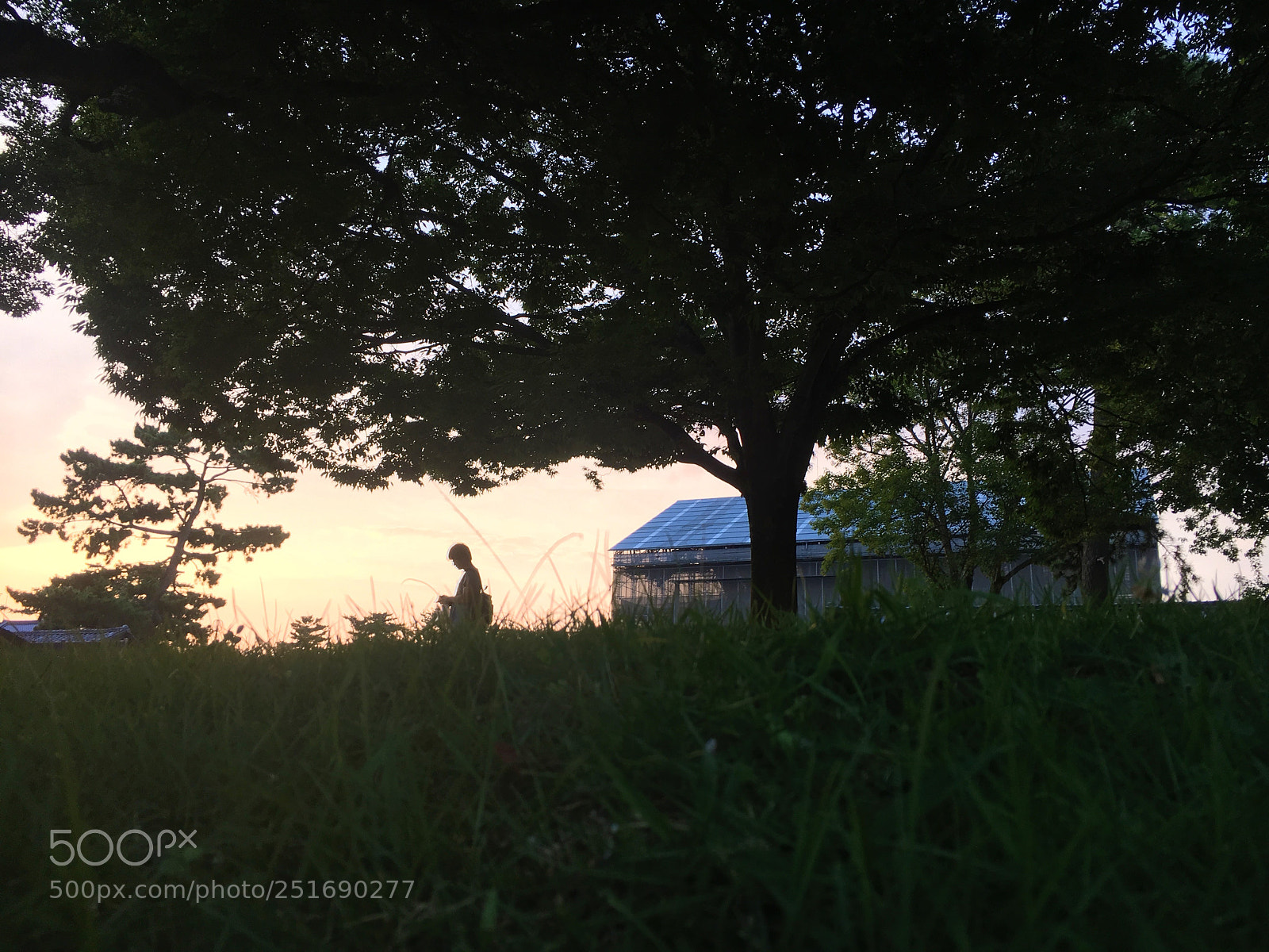 Apple iPhone 6s sample photo. ( the setting sun ) photography
