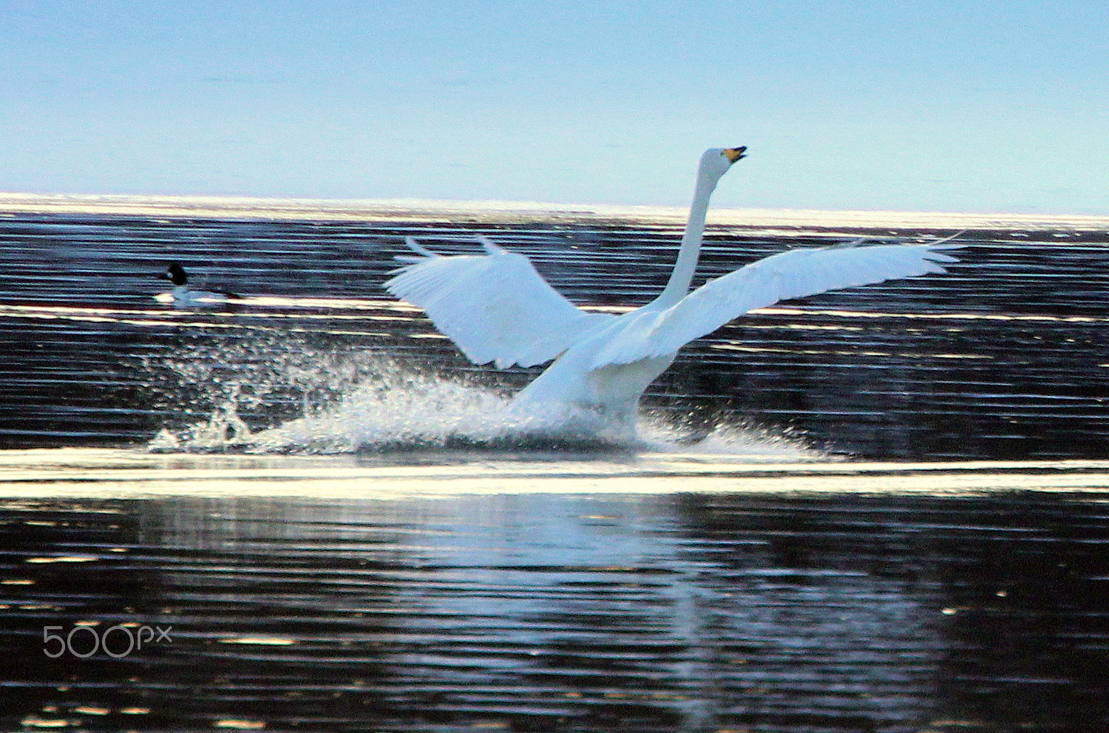 Canon EOS 700D (EOS Rebel T5i / EOS Kiss X7i) sample photo. Landing, ten points... photography
