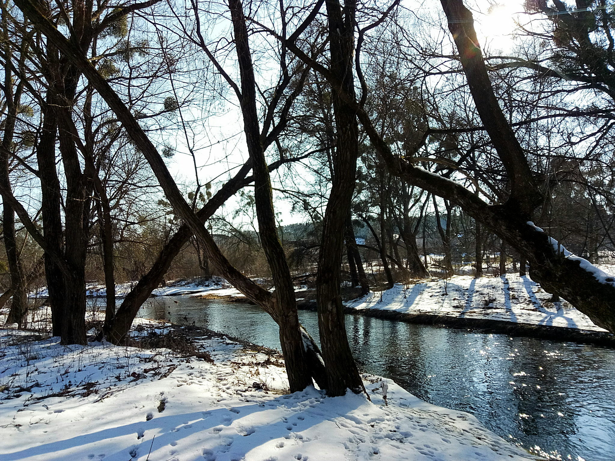 Meizu U20 sample photo