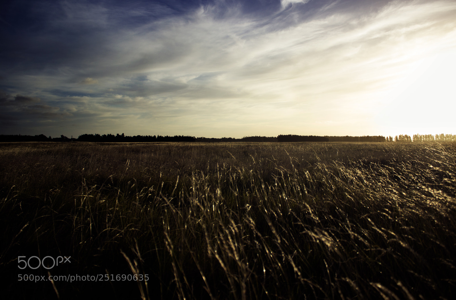 Canon EOS 600D (Rebel EOS T3i / EOS Kiss X5) sample photo. Sunset photography