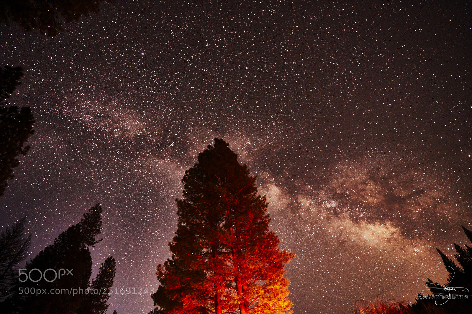 Sony a7R III sample photo. Yosemite photography