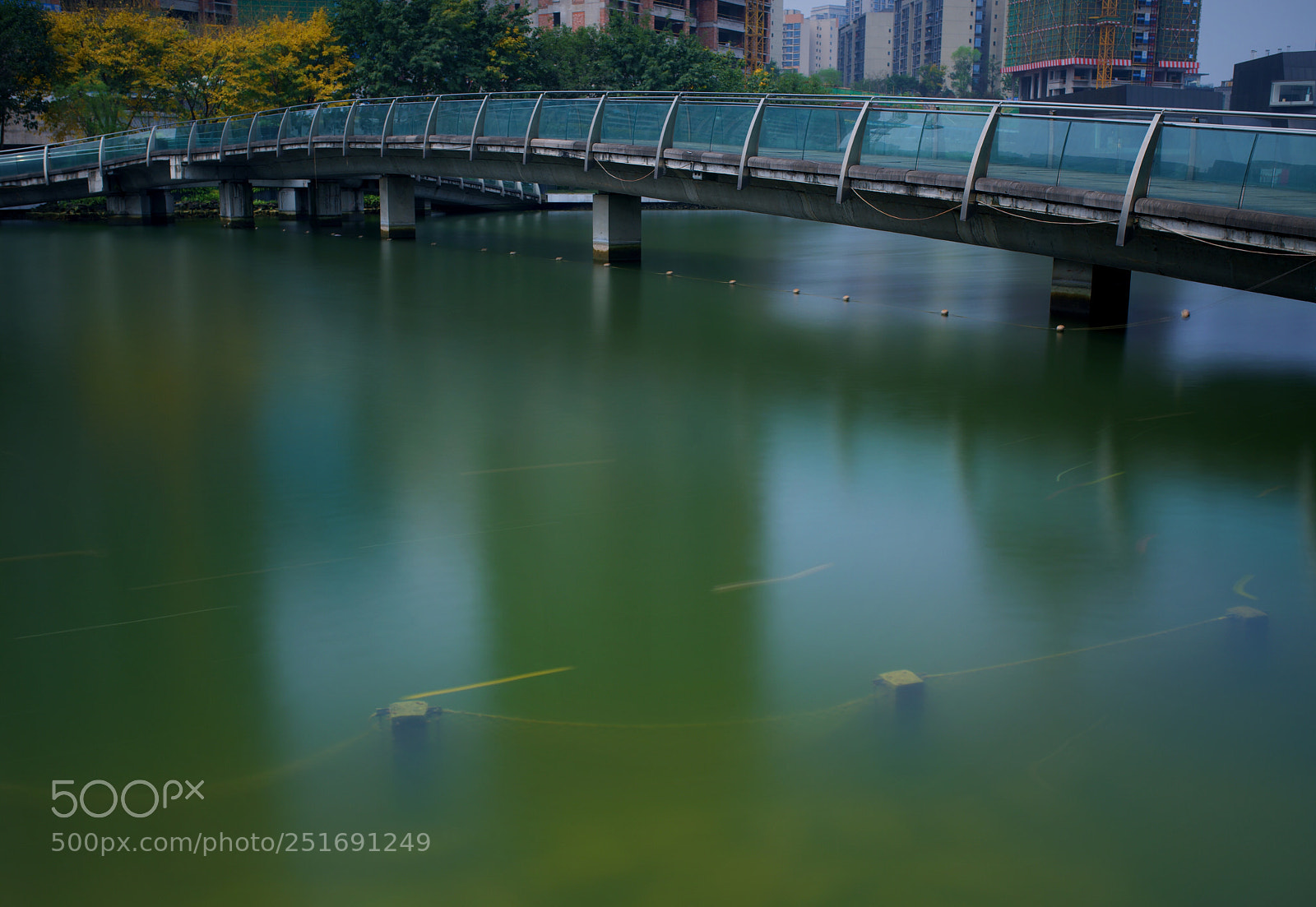 Nikon D810 sample photo. 人间四月天 photography