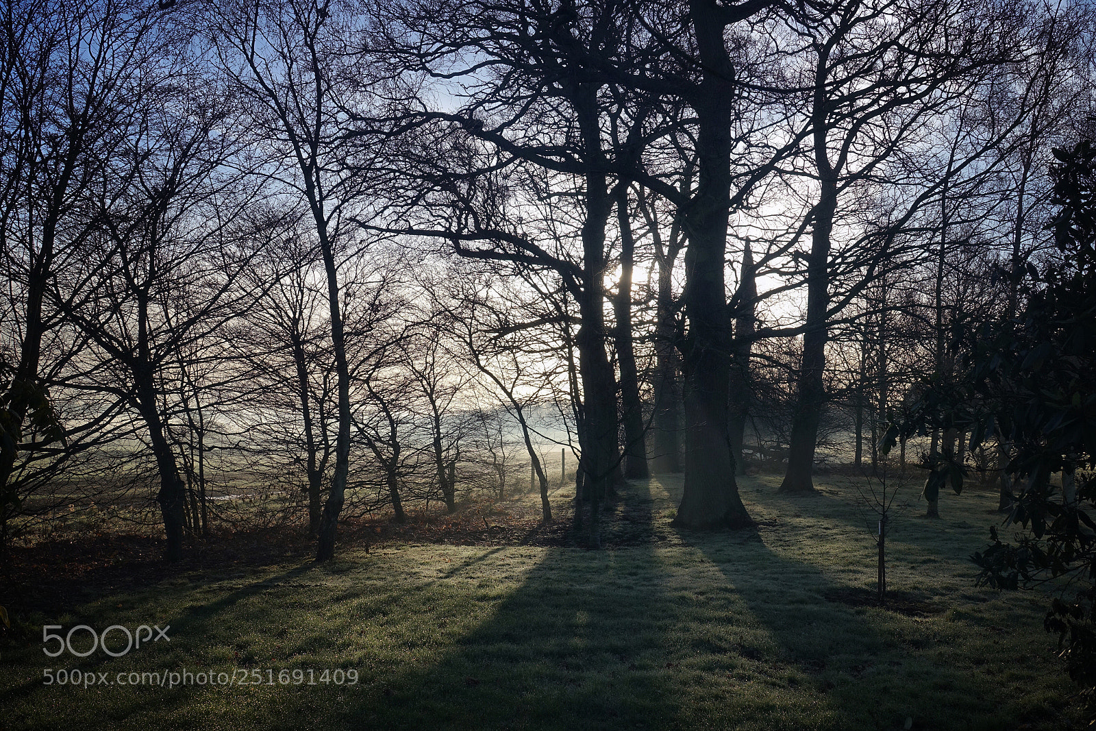 Sony Cyber-shot DSC-RX10 III sample photo. Misty morning photography