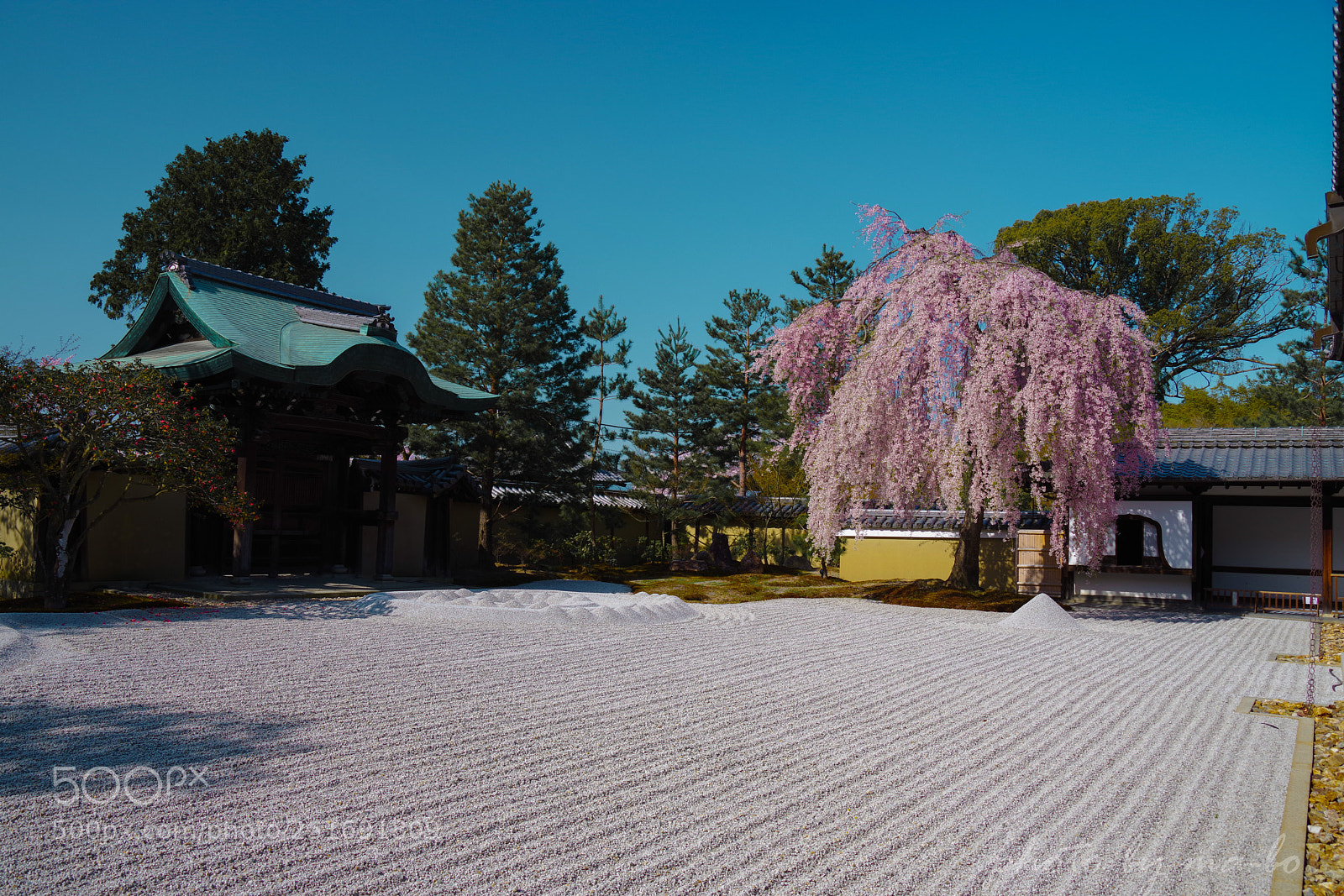 Pentax K-1 sample photo. 高台寺 photography