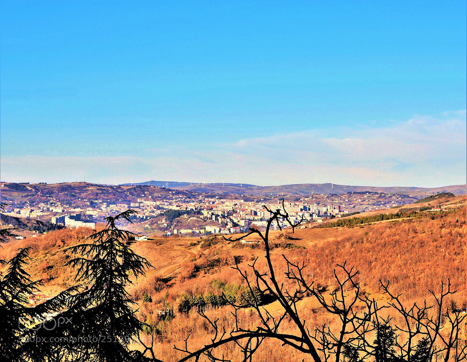 Canon EOS 750D (EOS Rebel T6i / EOS Kiss X8i) sample photo. 201802010001 photography