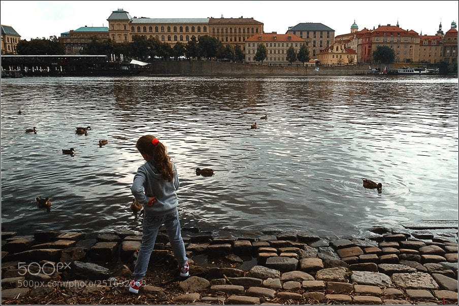 Sony DSC-HX60 sample photo. Vltava photography