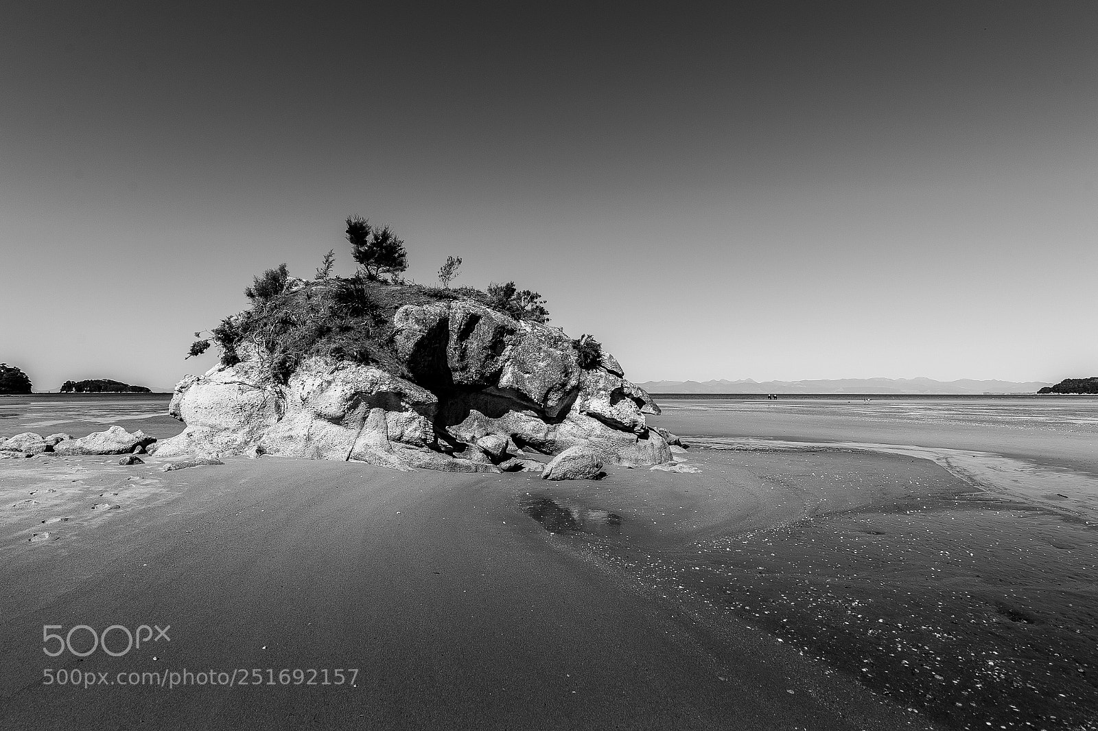 Nikon D4 sample photo. Sandy bay : new zealand photography