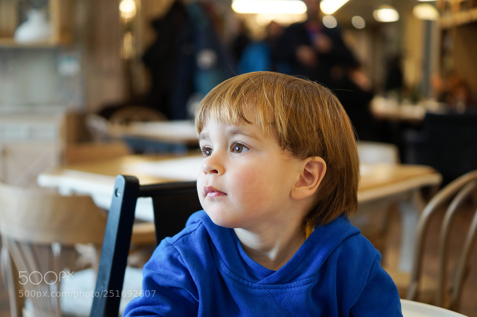 Sony SLT-A58 sample photo. A1 photography