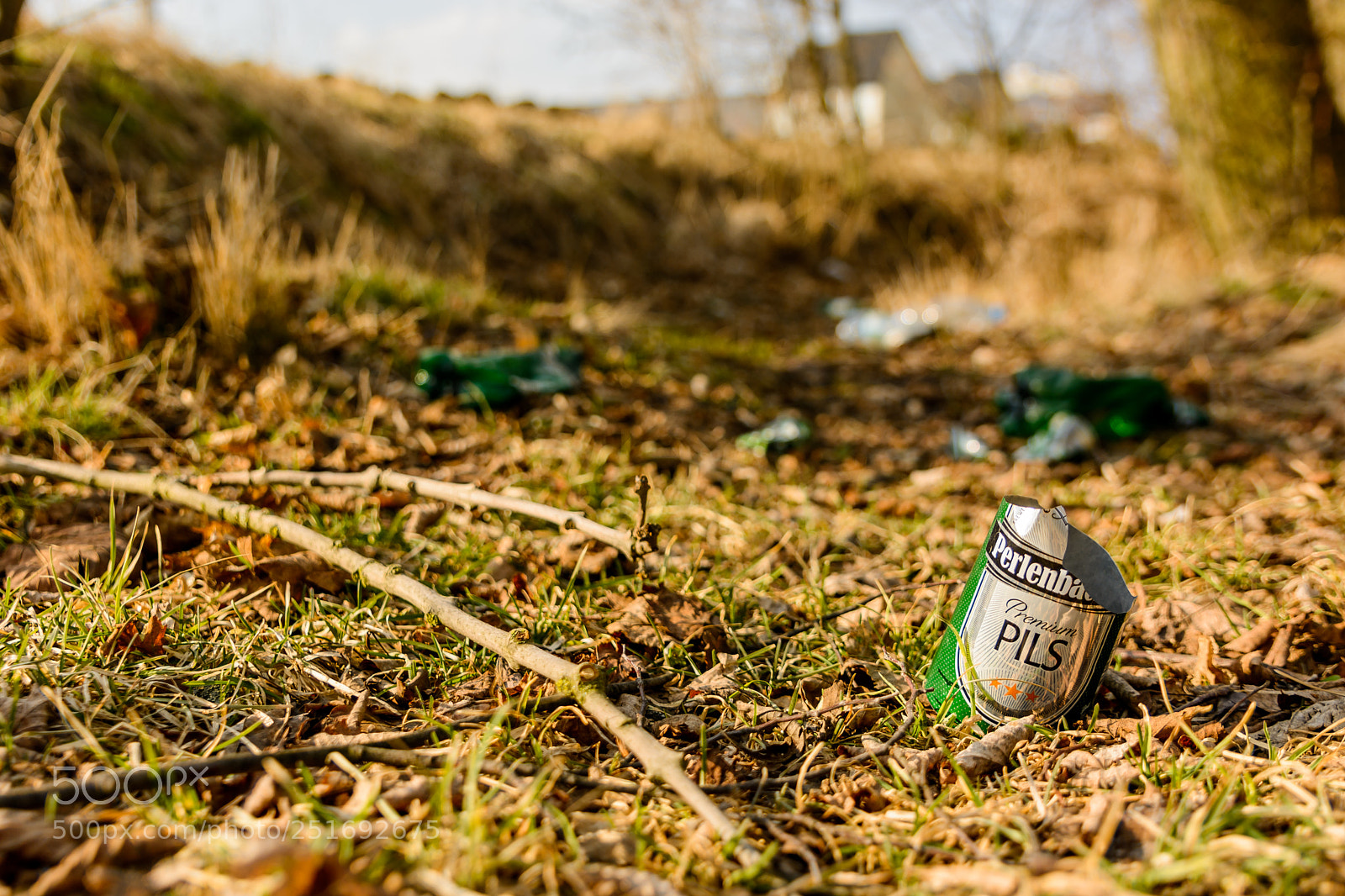 Nikon D7100 sample photo. People should do something photography