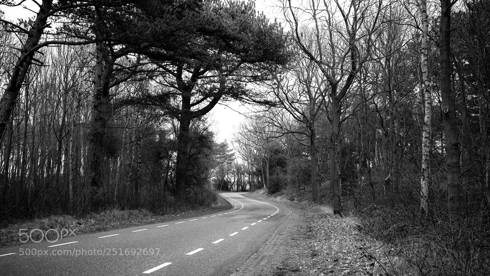 Leica M (Typ 240) sample photo. Untitled photography