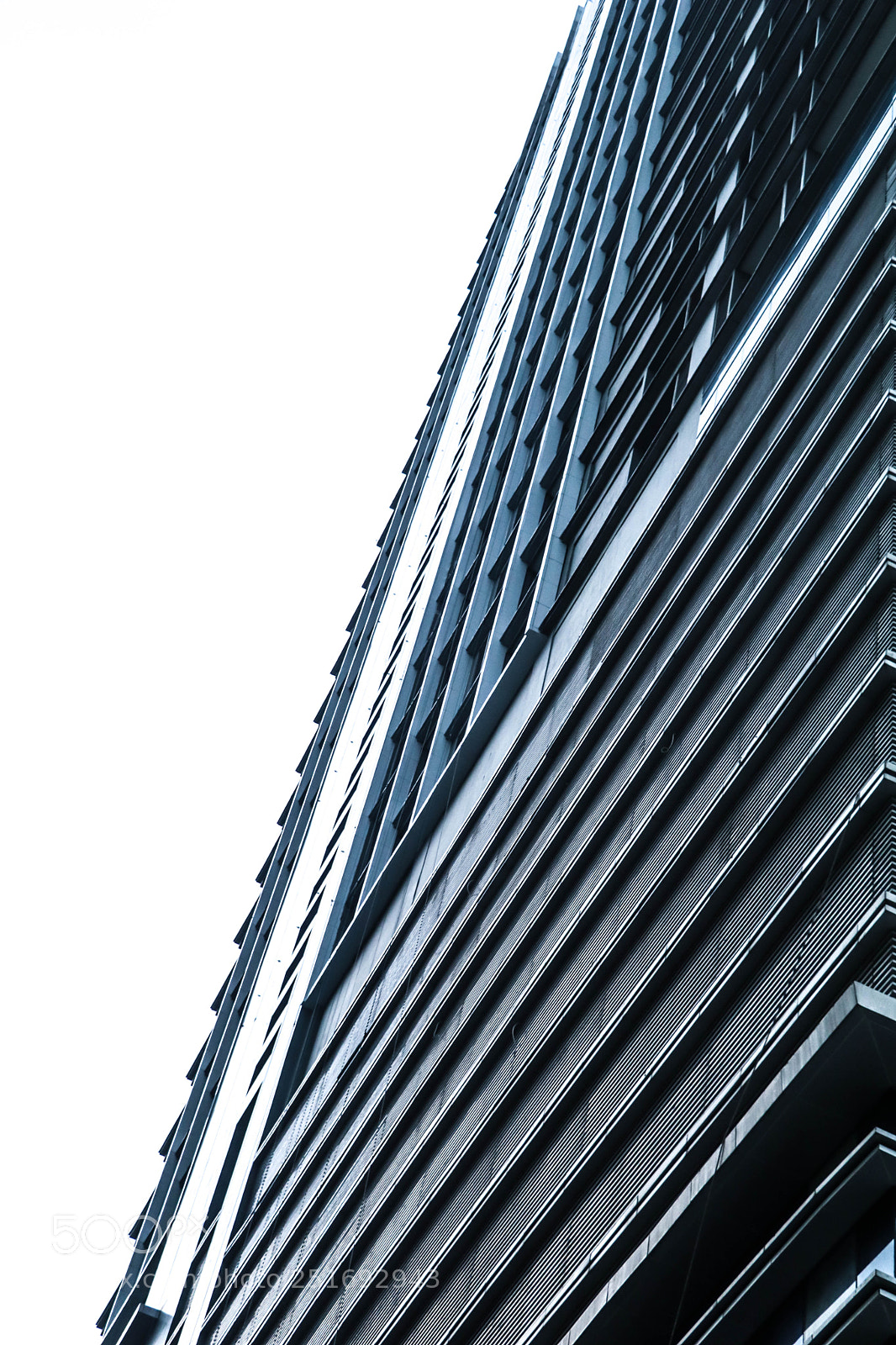 Canon EOS 80D sample photo. Minimal shot photography