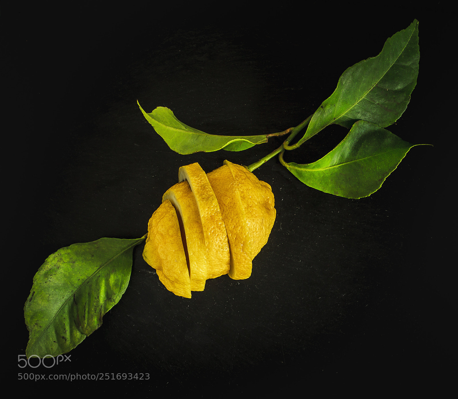 Canon EOS 7D sample photo. Lemon slice photography