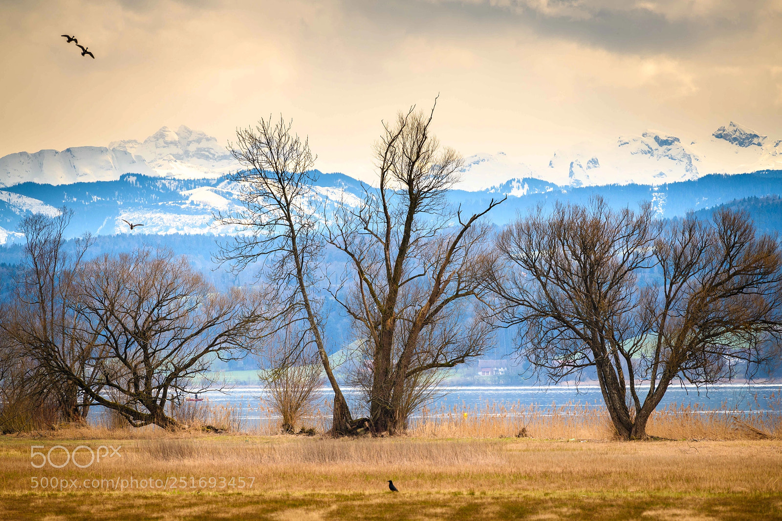 Nikon D850 sample photo. Swiss lake photography