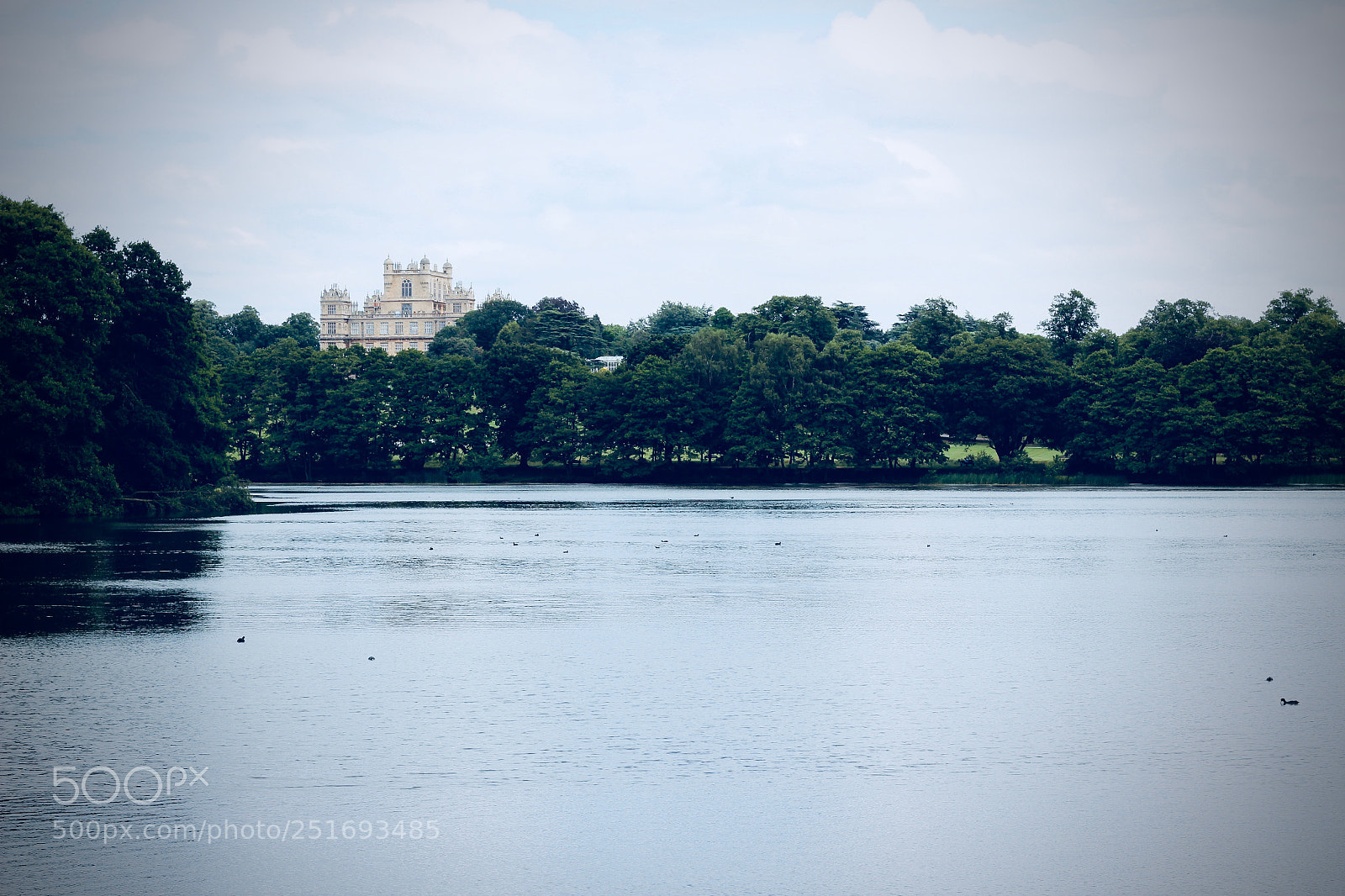 Canon EOS 600D (Rebel EOS T3i / EOS Kiss X5) sample photo. Wollaton hall lake photography
