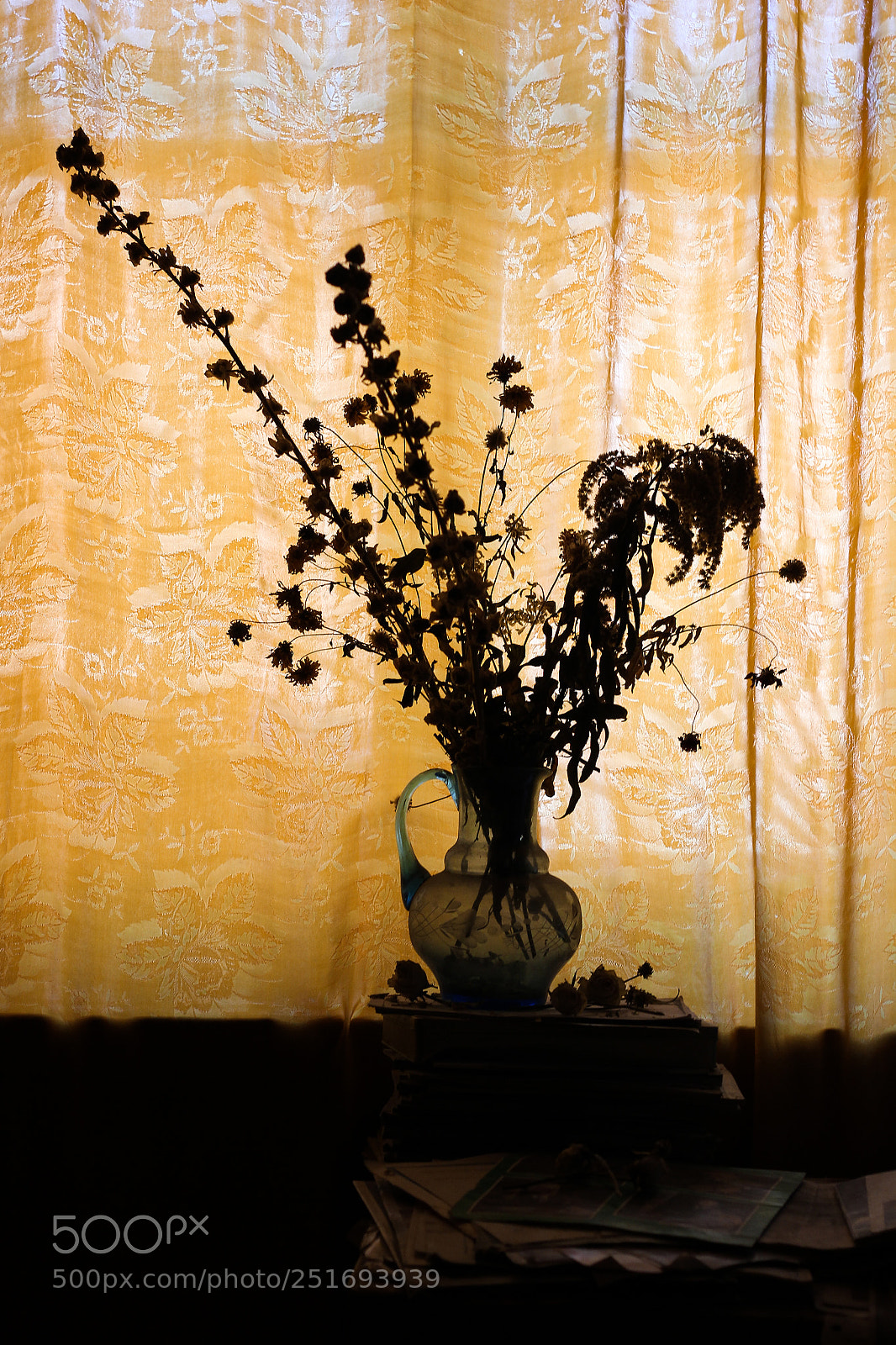Canon EOS 600D (Rebel EOS T3i / EOS Kiss X5) sample photo. Dried up flowers photography