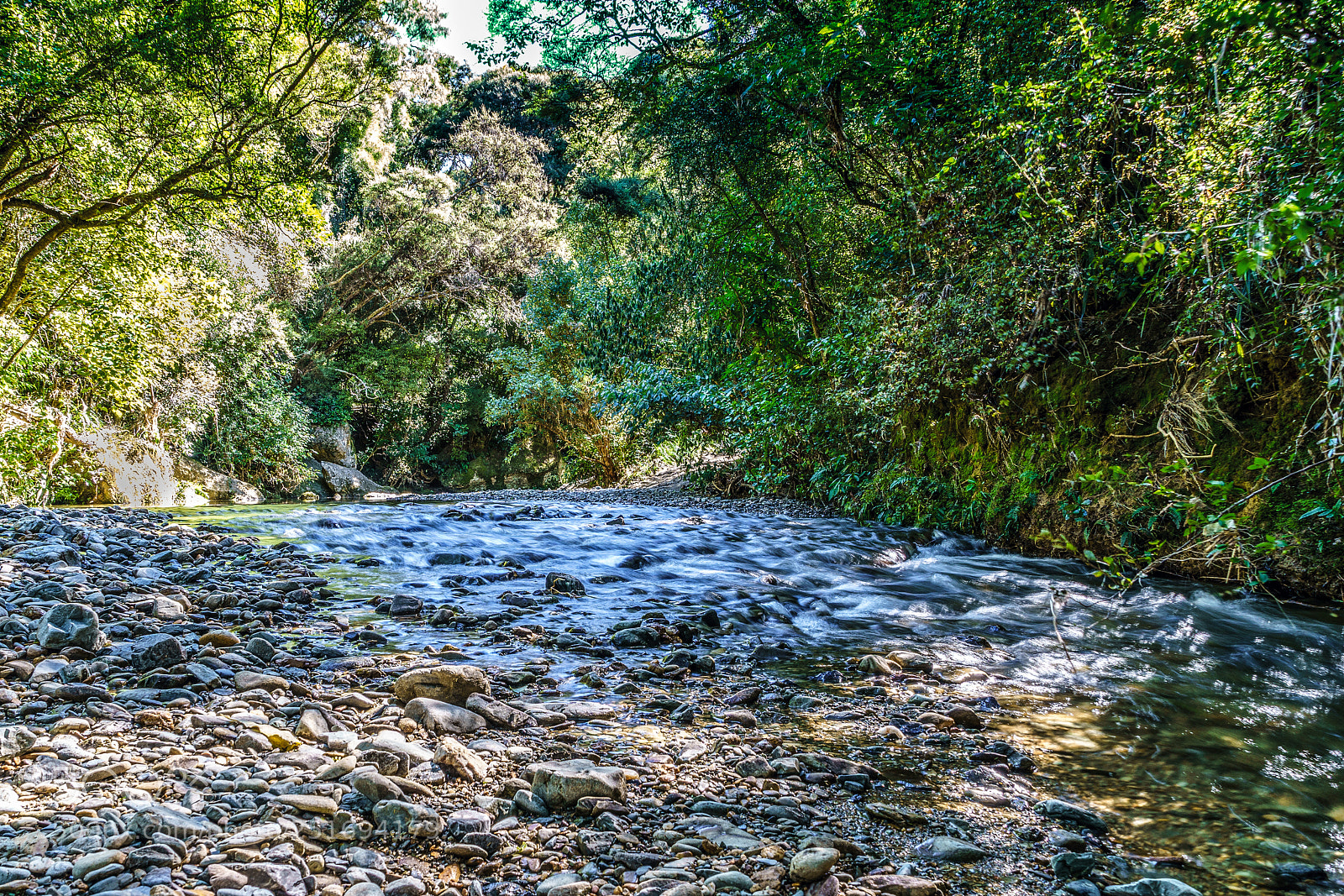 Sony a9 sample photo. Small creek photography