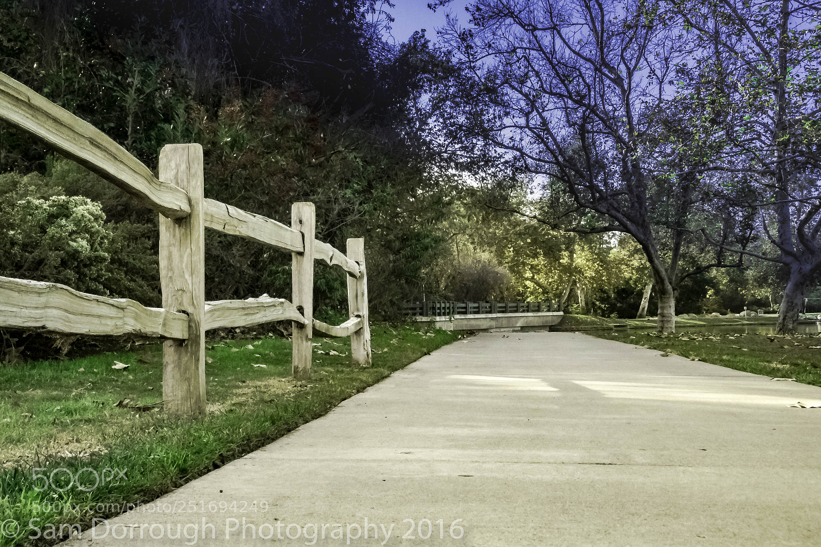 Canon EOS 1300D (EOS Rebel T6 / EOS Kiss X80) sample photo. Walkway photography