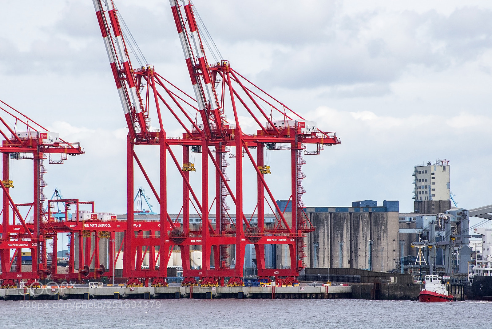 Nikon D600 sample photo. Crosby cranes (1) photography