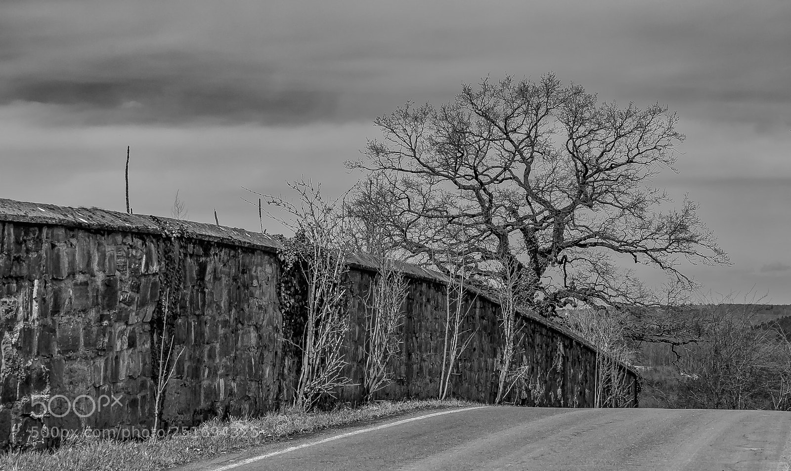 Nikon D700 sample photo. "monastery wall" photography