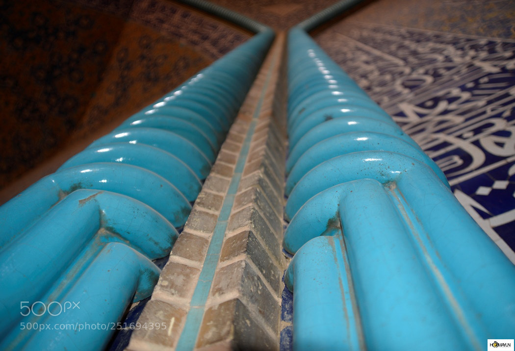 Nikon D600 sample photo. Untitled photography
