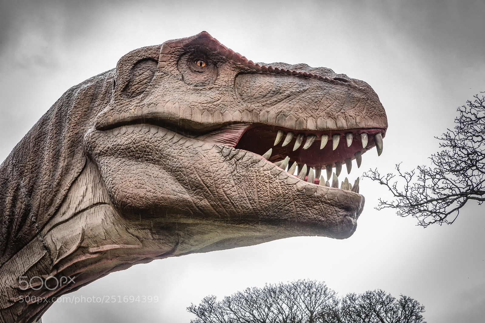 Canon EOS 5D Mark IV sample photo. T.rex photography