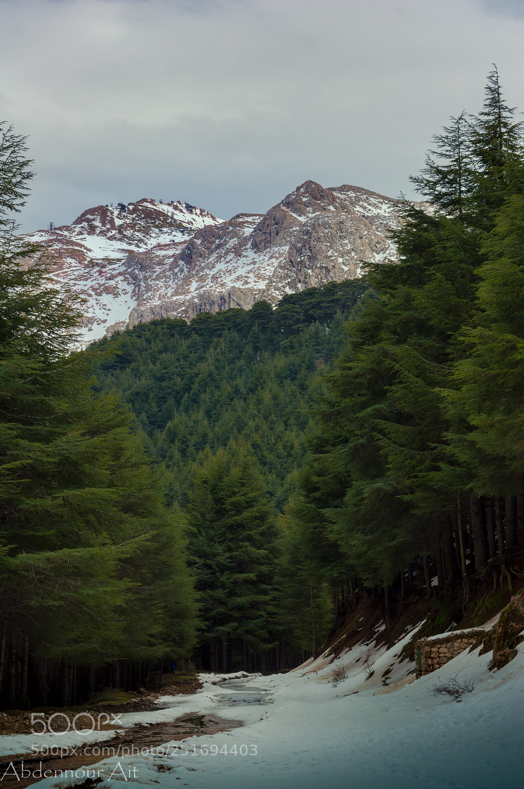 Nikon D3200 sample photo. The beauty of tala photography