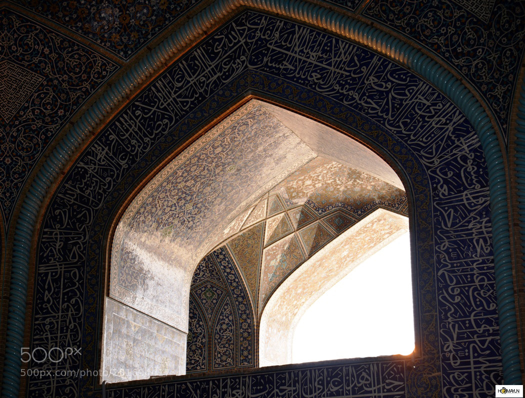 Nikon D600 sample photo. Untitled photography