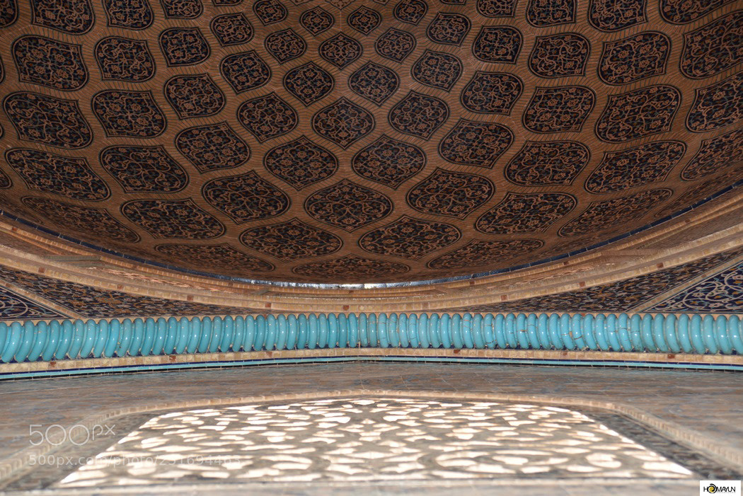Nikon D600 sample photo. Untitled photography