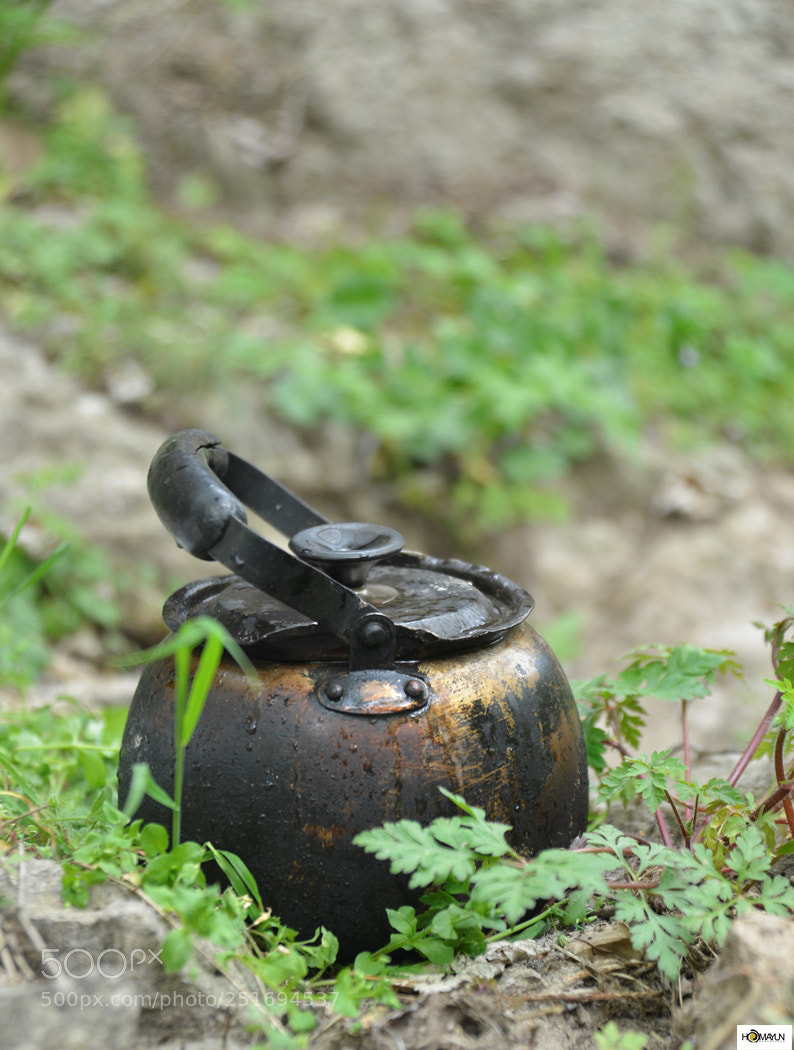 Nikon D600 sample photo. Untitled photography