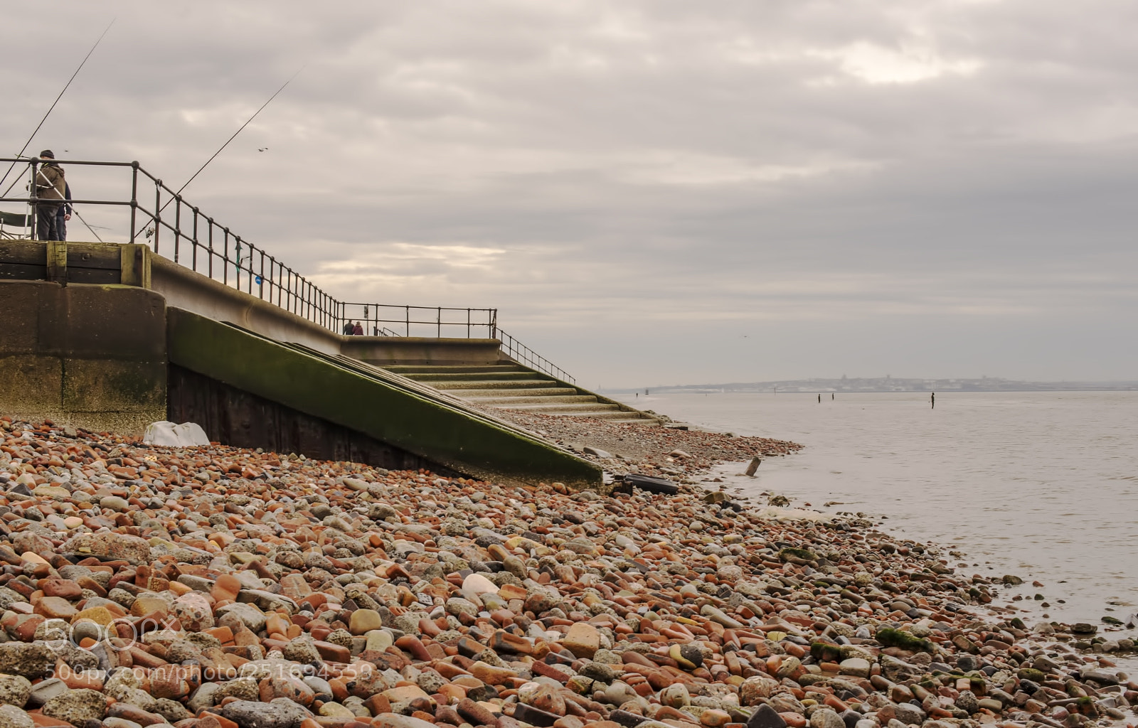 Nikon D600 sample photo. Rods are ready! (1) photography