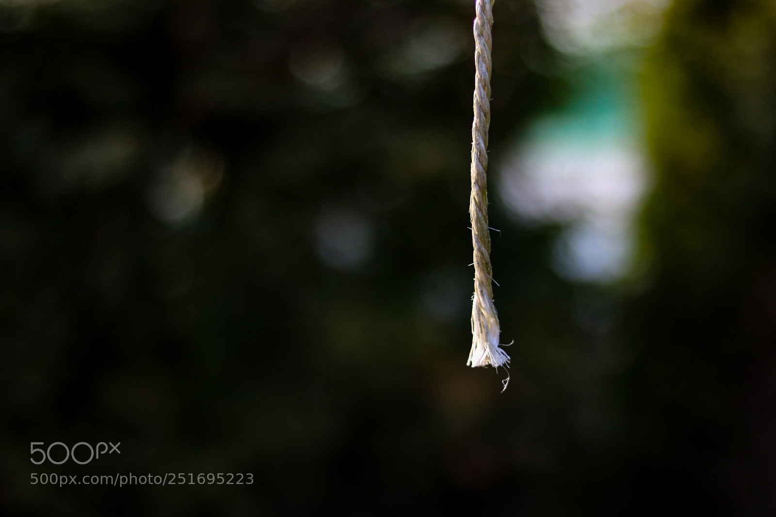 Canon EOS 750D (EOS Rebel T6i / EOS Kiss X8i) sample photo. Untitled photography