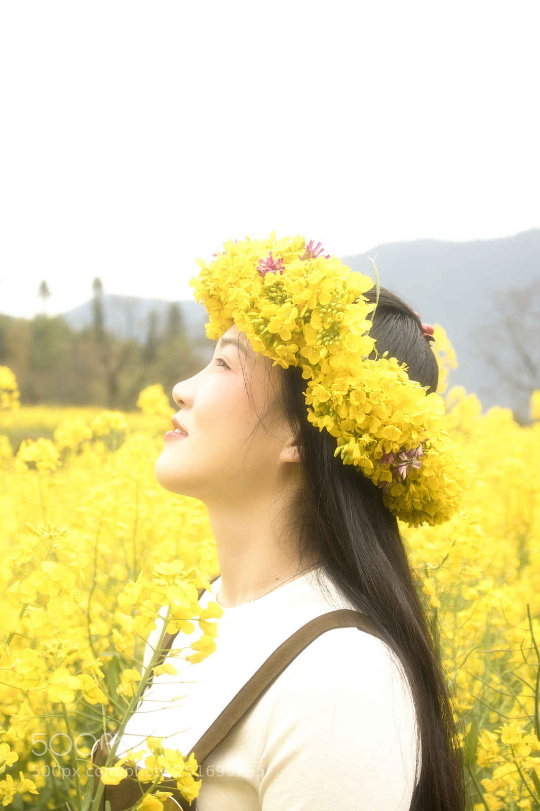 Canon EOS 750D (EOS Rebel T6i / EOS Kiss X8i) sample photo. Img photography
