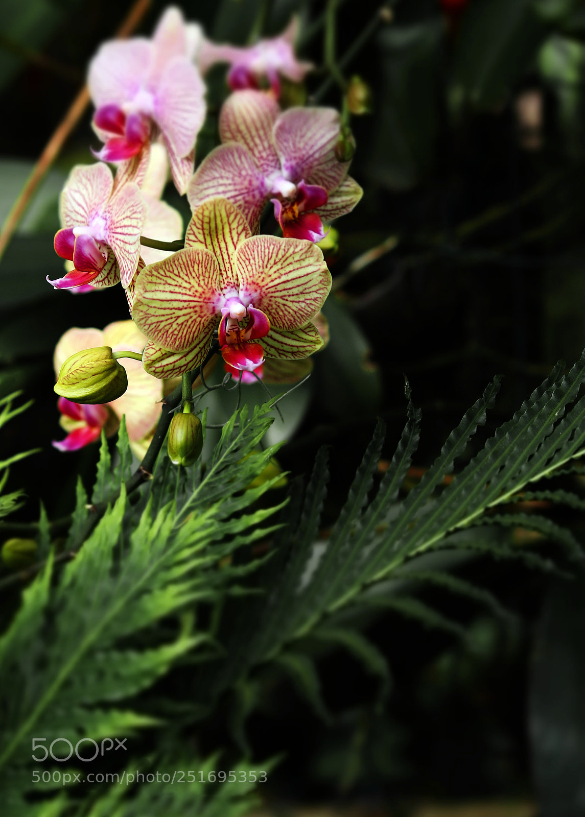 Canon EOS 80D sample photo. Colors of nature photography