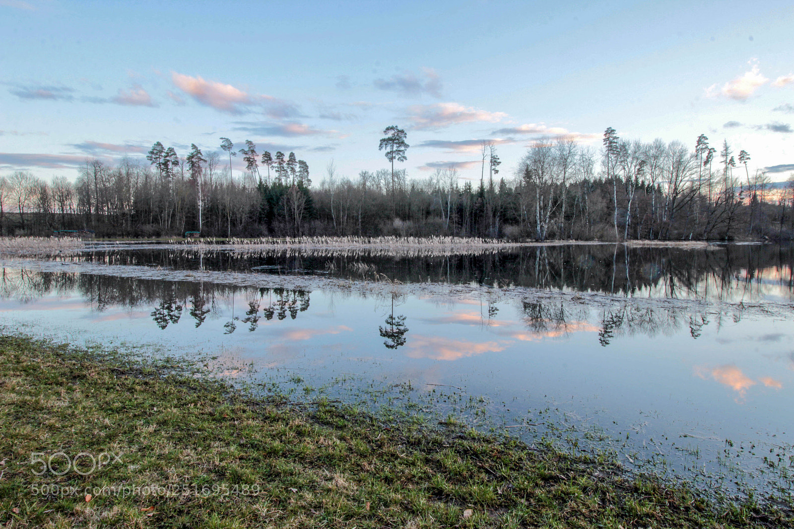 Canon EOS 600D (Rebel EOS T3i / EOS Kiss X5) sample photo. Pond photography