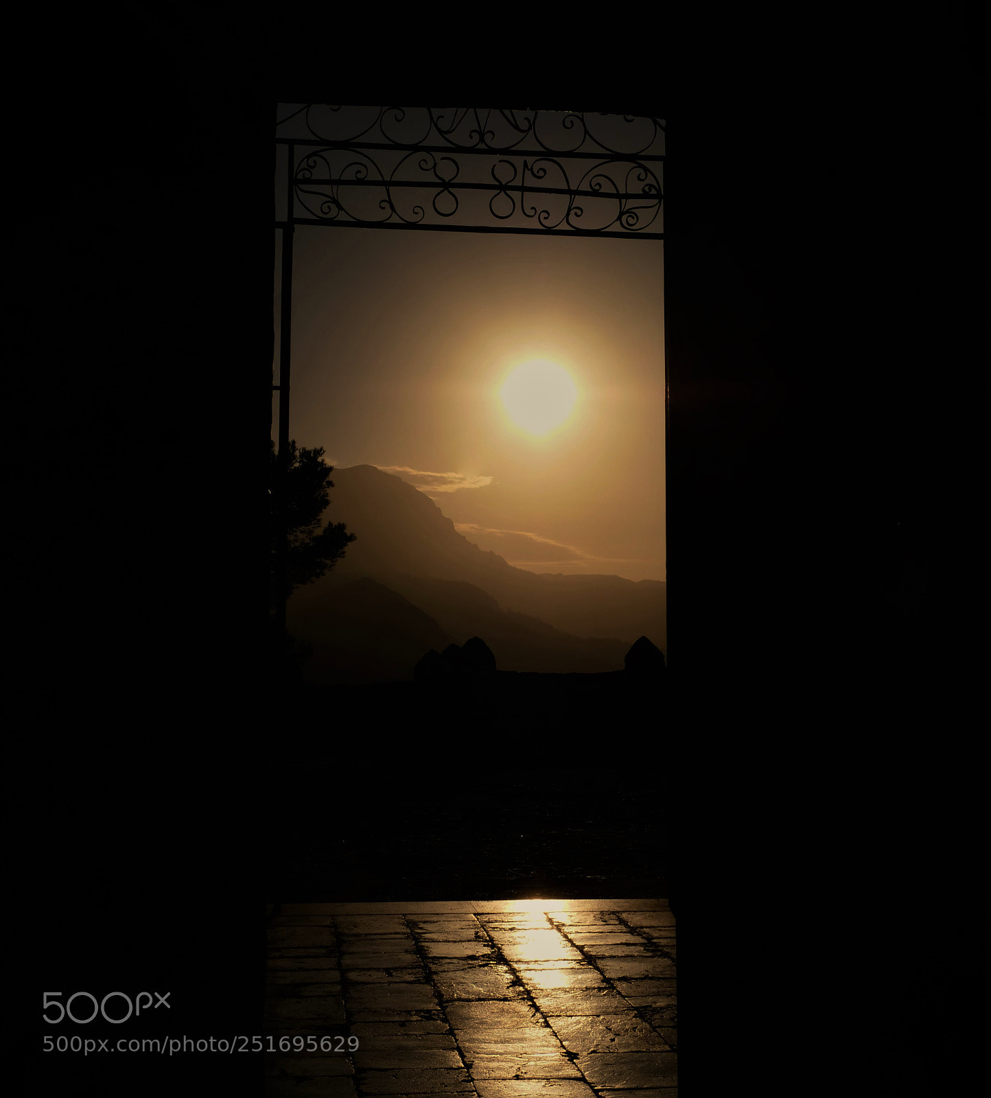 Panasonic Lumix DC-GH5 sample photo. Untitled photography