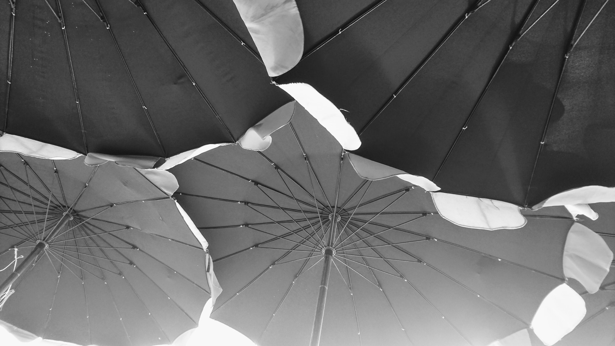 Sony Xperia Z5 sample photo. Dsc_0033_3.jpg photography