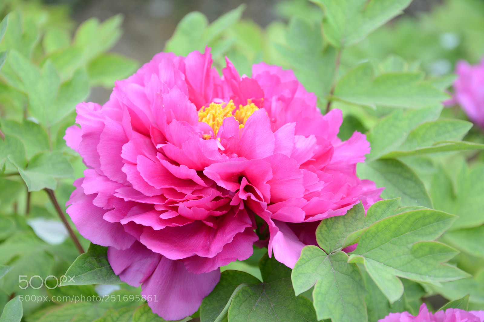 Nikon D7100 sample photo. Untitled photography
