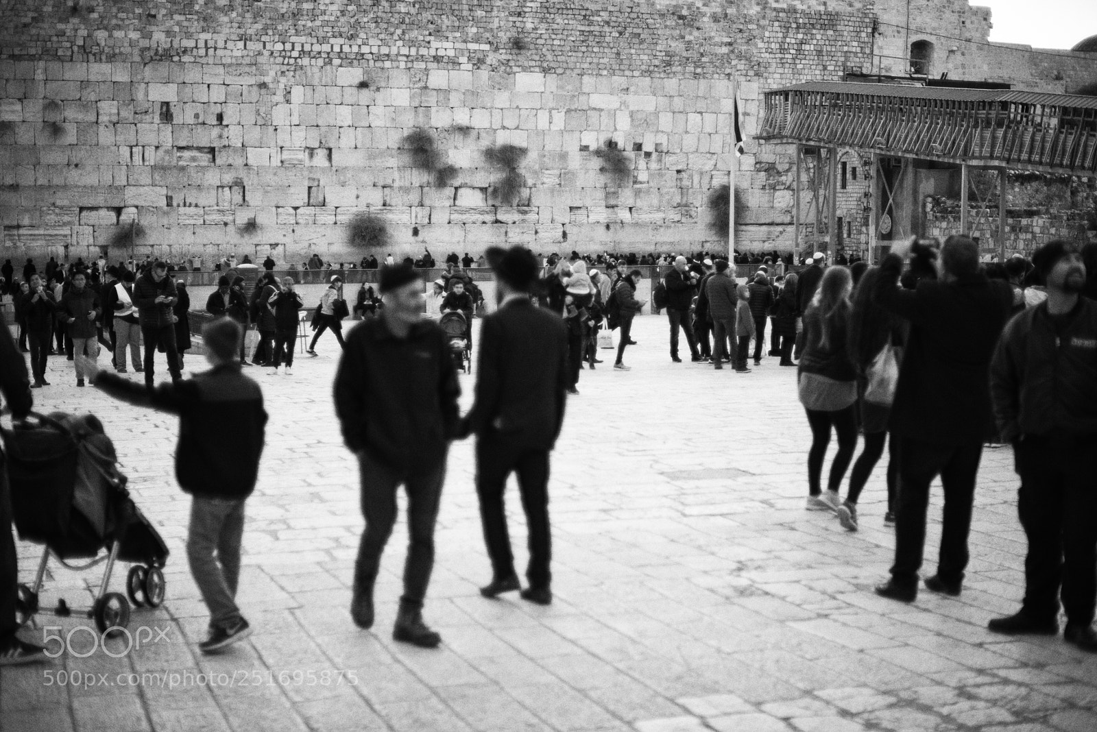 Nikon D810 sample photo. Western wall photography