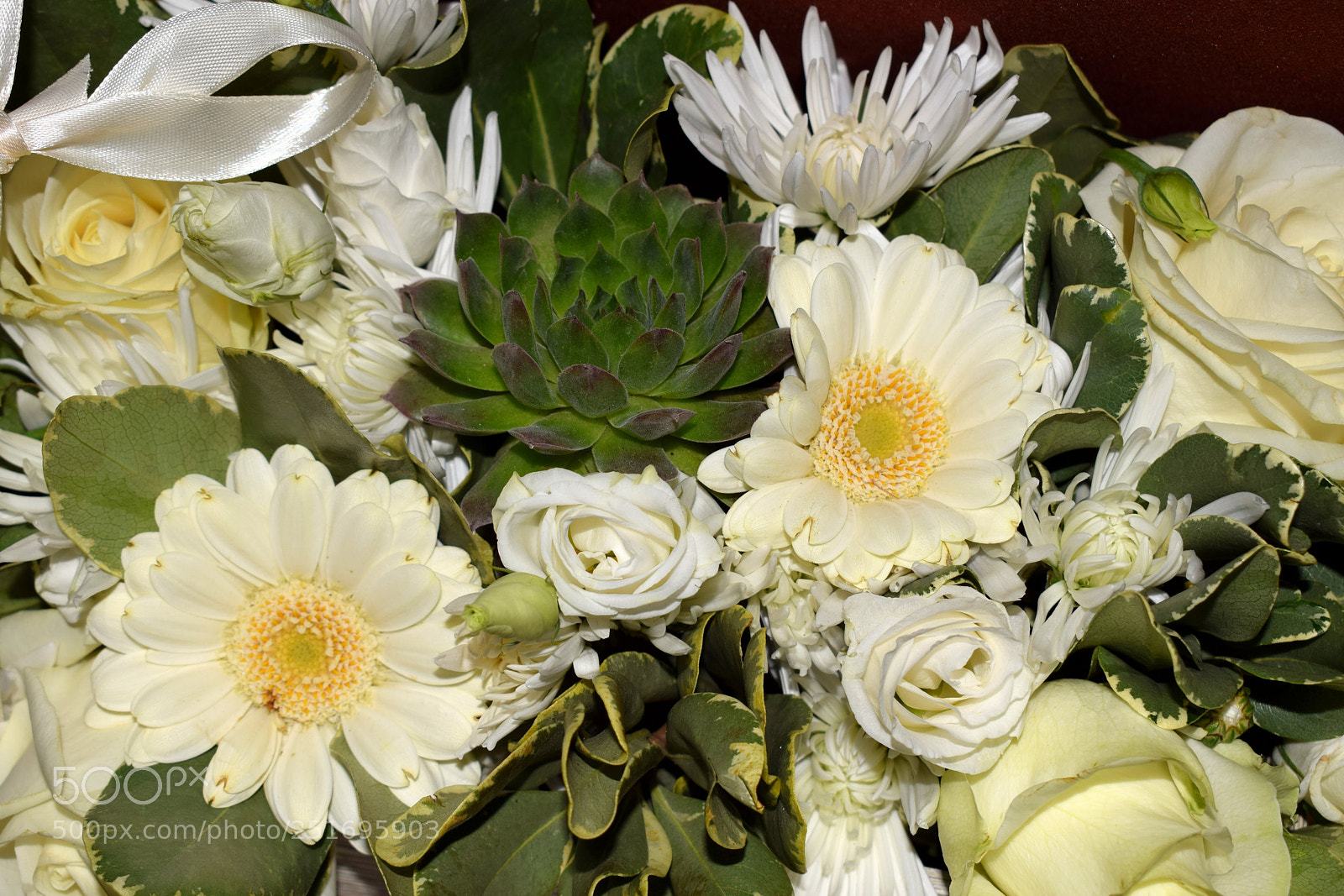 Nikon D3300 sample photo. Flowers photography