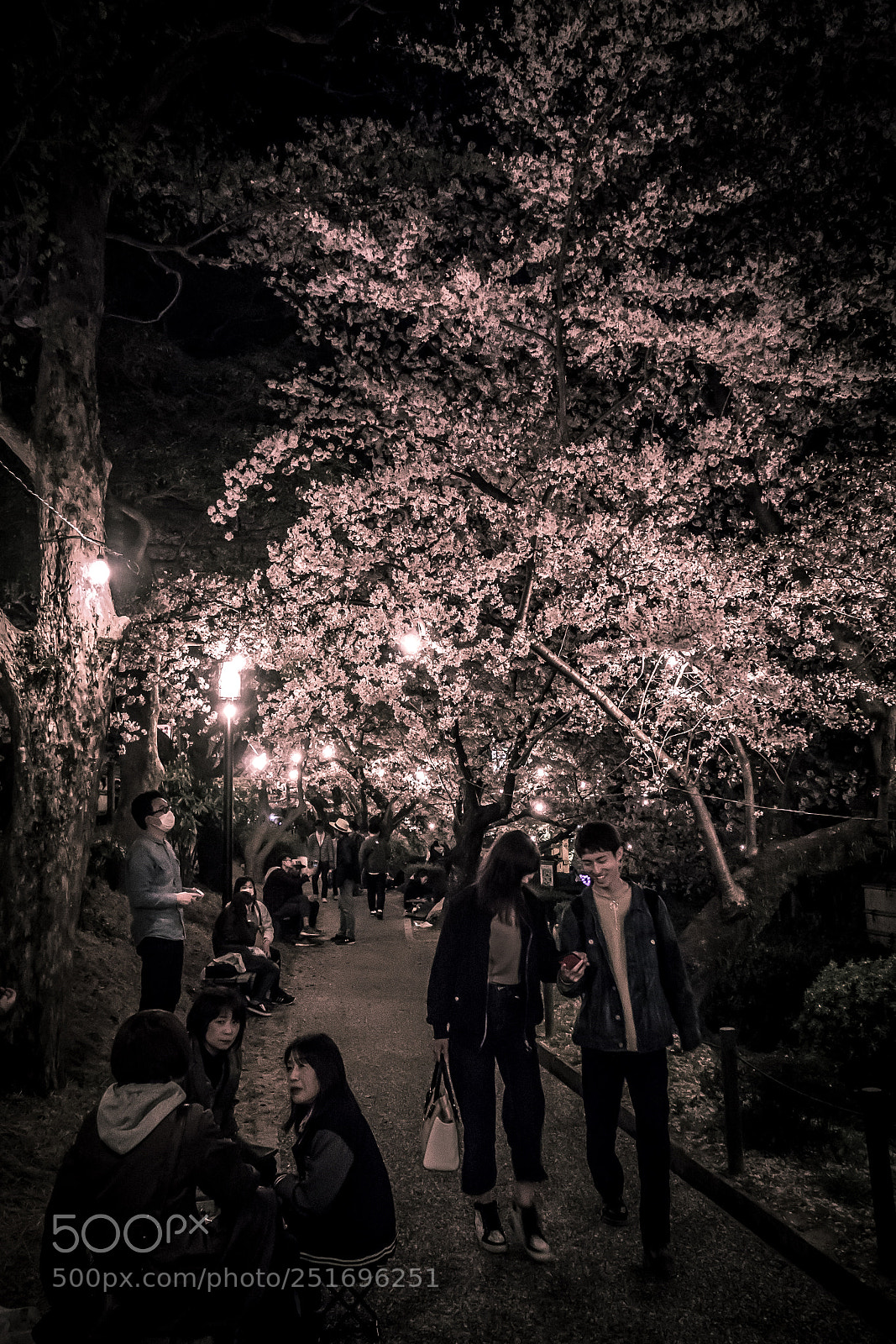 Sony Cyber-shot DSC-RX100 sample photo. Sakura night street photography