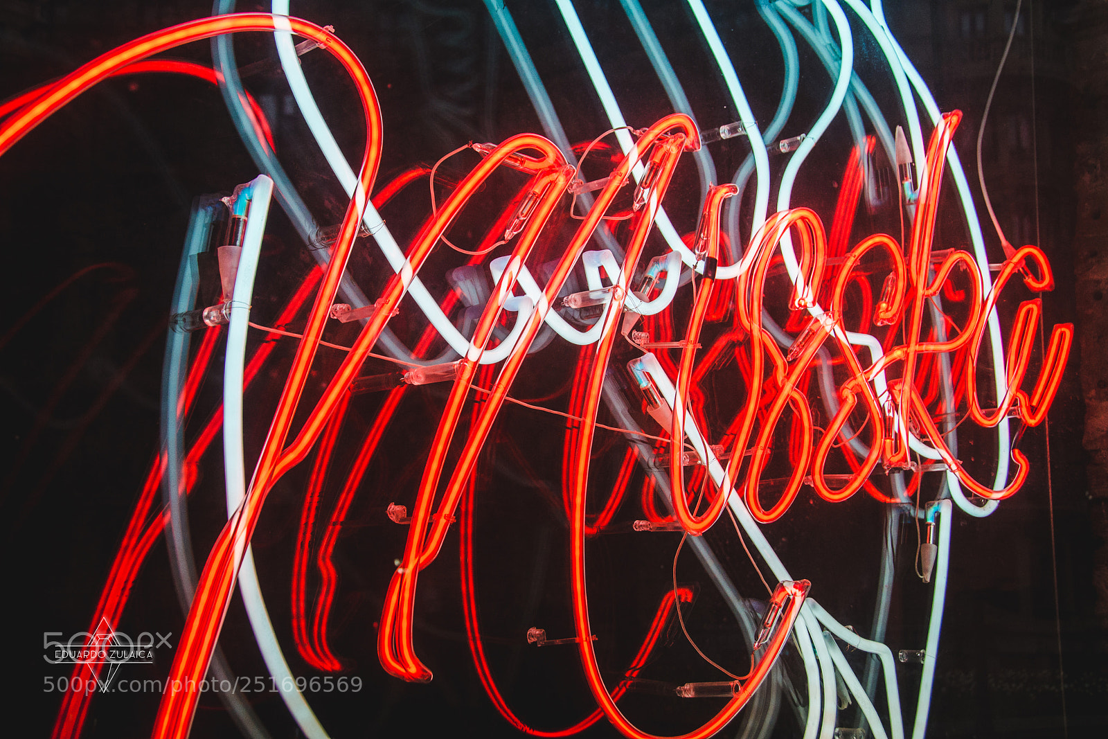 Nikon D800 sample photo. Neon light by eduardo photography