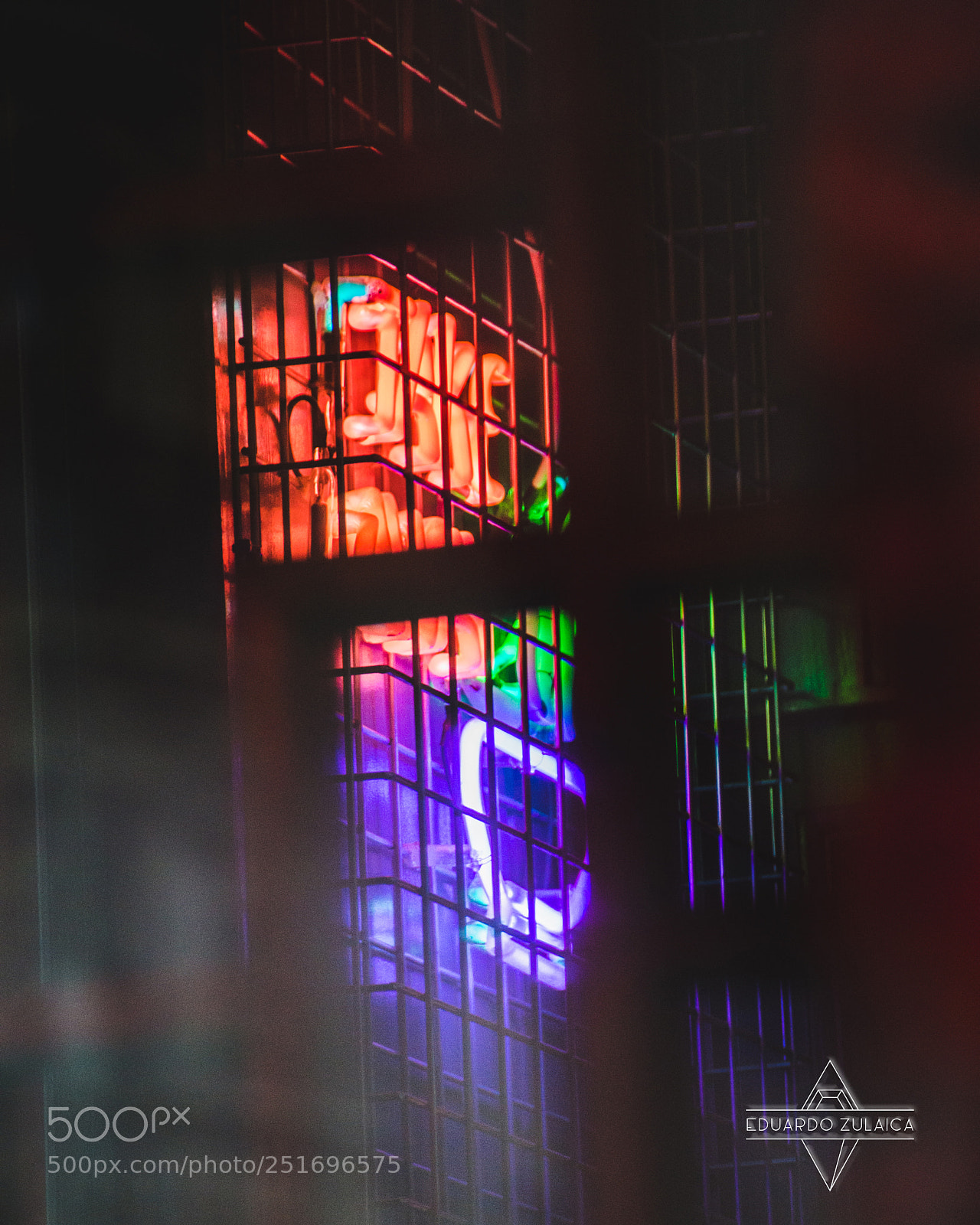 Nikon D800 sample photo. Neon light by eduardo photography