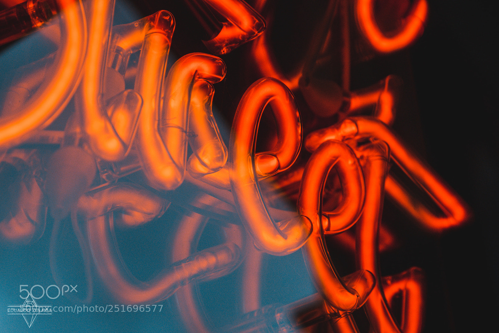 Nikon D800 sample photo. Neon light by eduardo photography