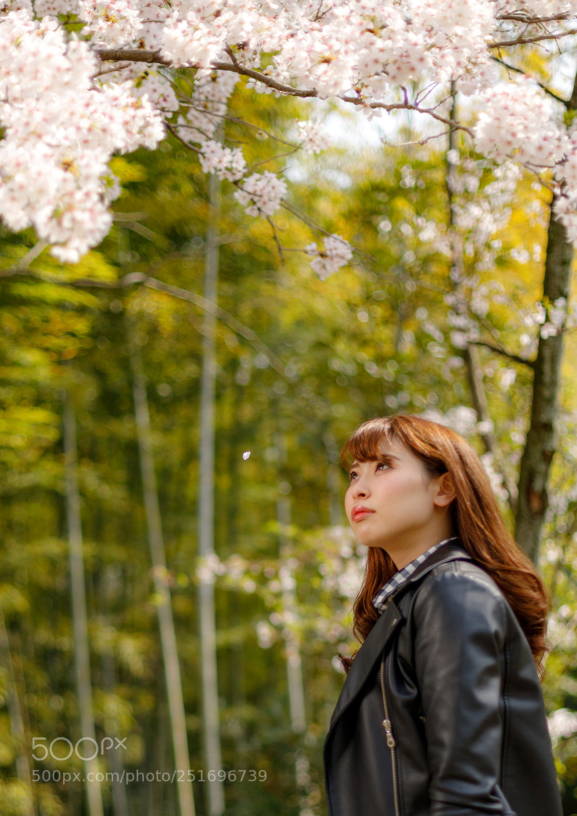 Canon EOS 5D Mark IV sample photo. Das model photography