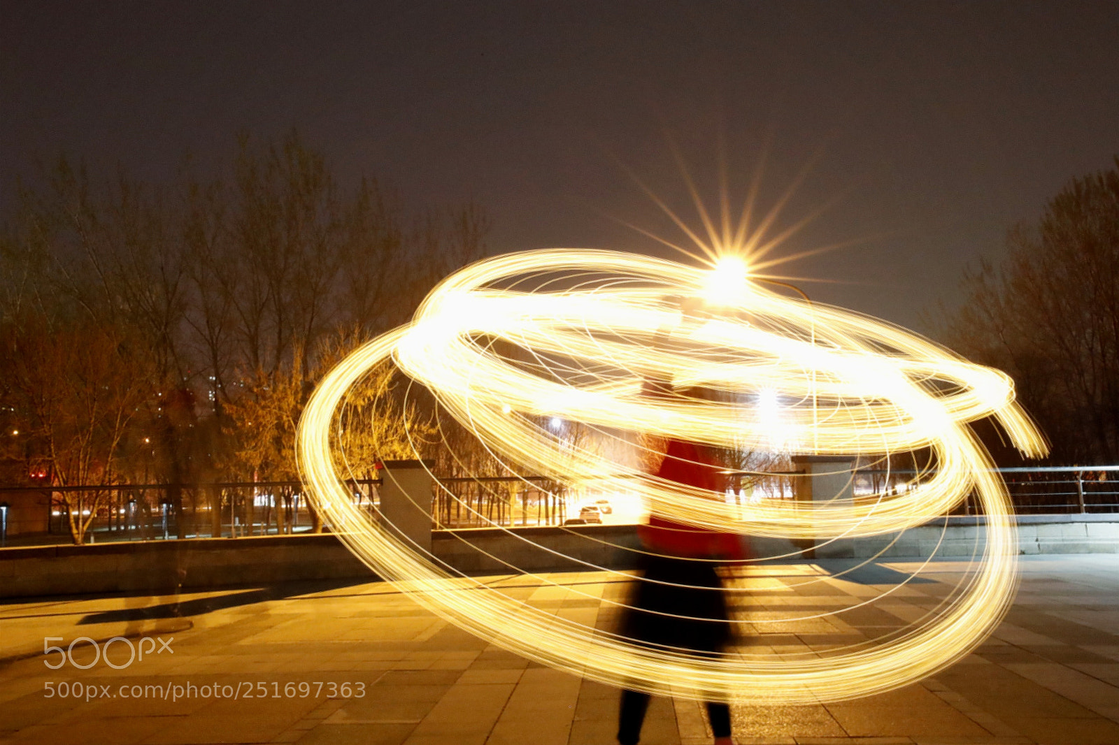 Canon EOS-1D X Mark II sample photo. Untitled photography