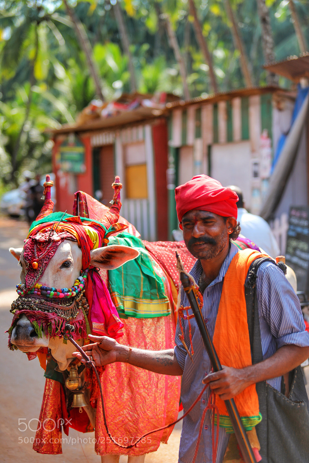 Canon EOS 5D Mark IV sample photo. Colourful india photography