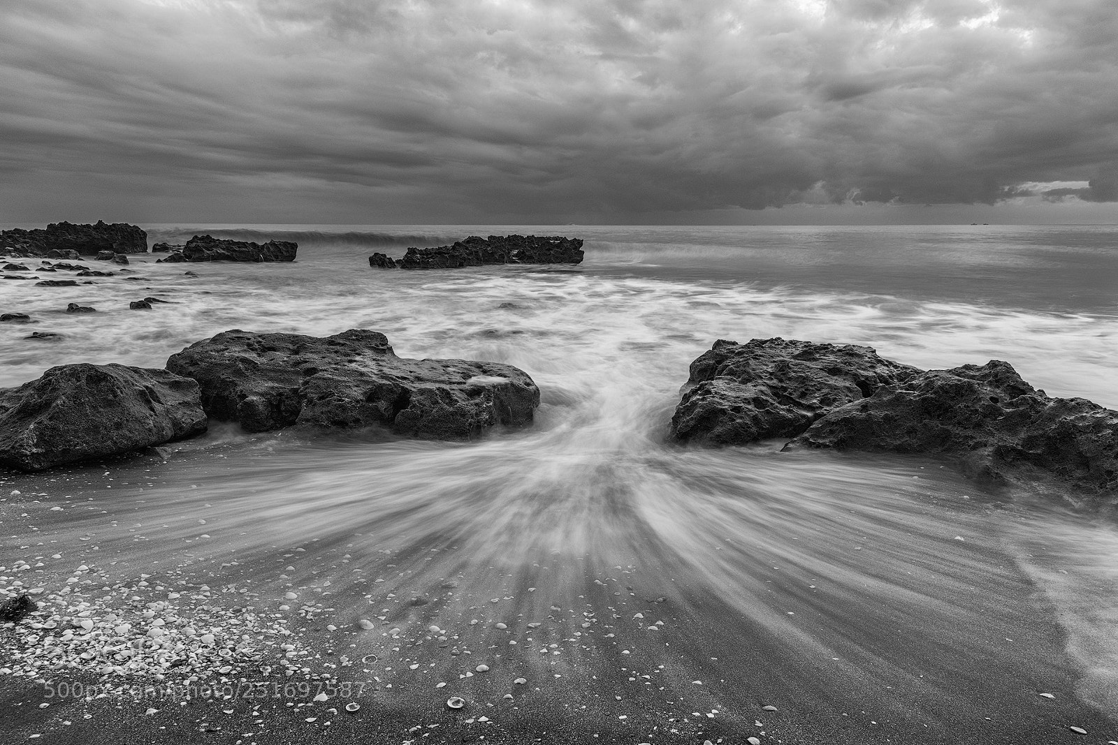 Nikon D850 sample photo. Moody morning photography