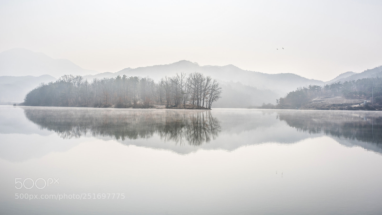 Nikon D810 sample photo. Morning lake photography